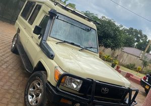 Benefits of self drive safaris
