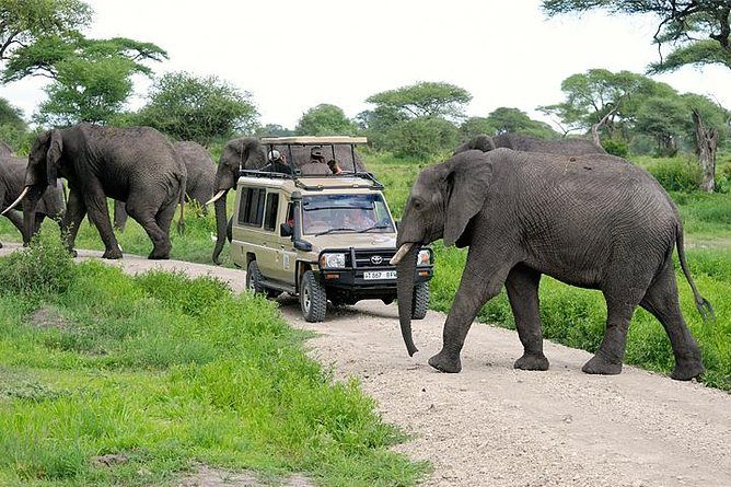 4x4 kenya