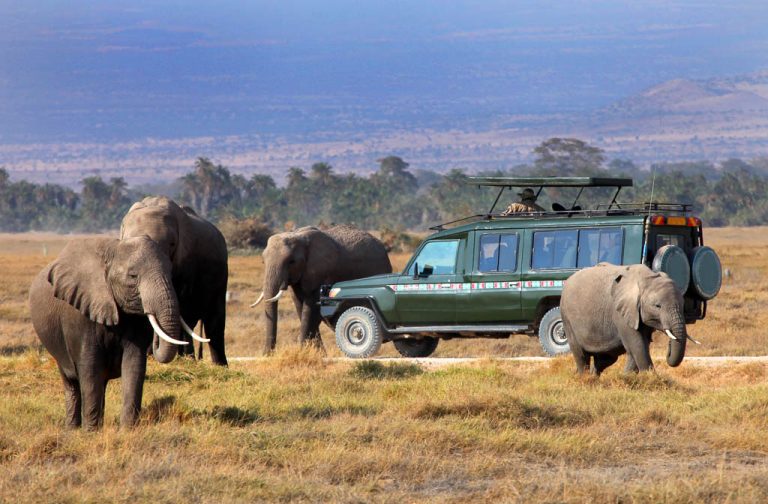 Car Rental in Masai Mara National Reserve