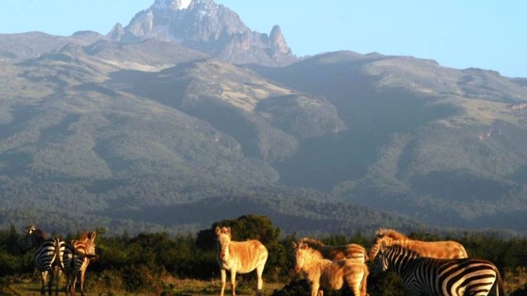 Mount Kenya National Park
