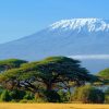 Mountain Kilimanjaro - The highest mountain in Africa
