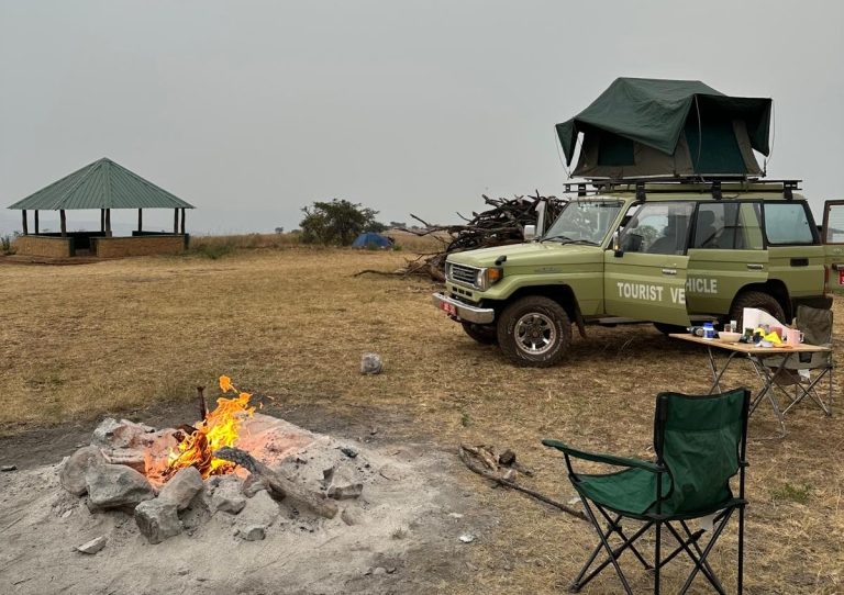 car rental safaris kenya