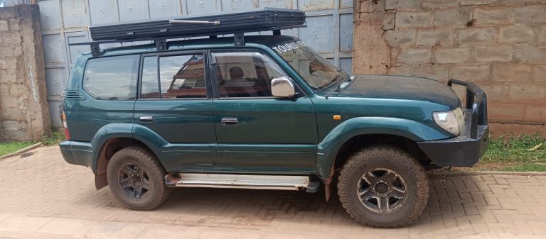 4x4 Wheel Drive For An African Self-Drive Trip