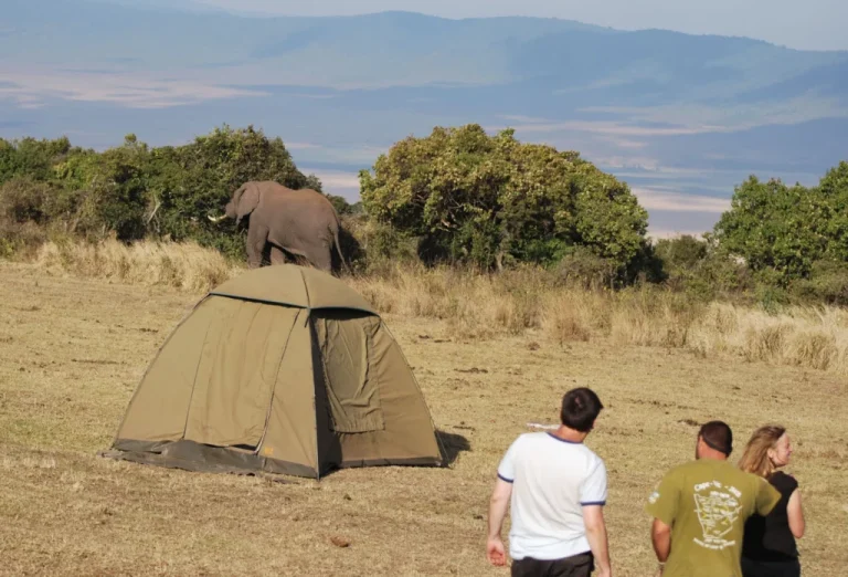 Camping in the Great Rift Valley Kenya