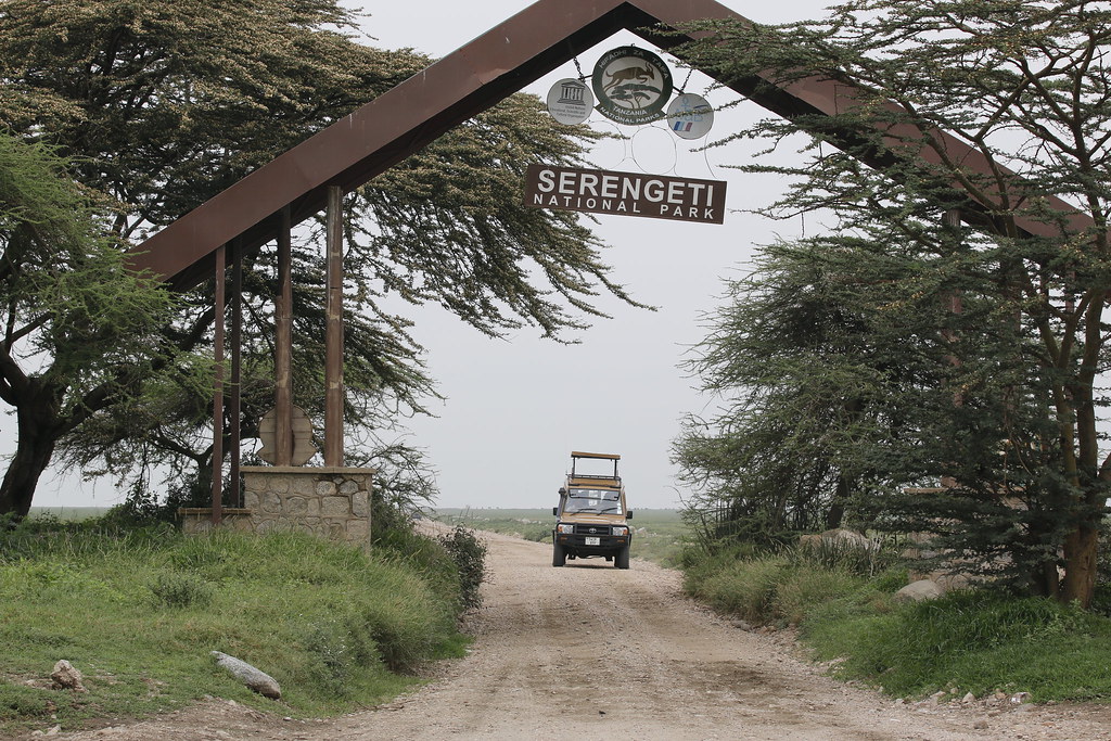 Cross Border Safaris Africa