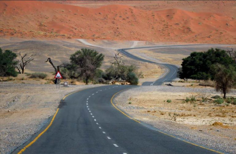 Driving Through The Namib Desert