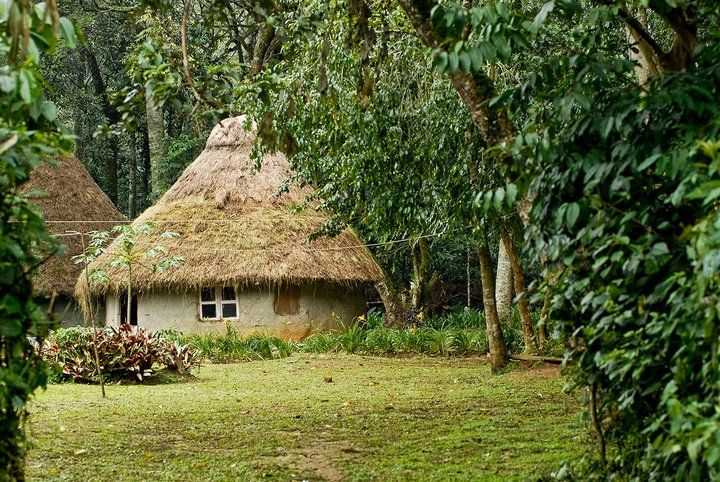 KEEP (Kakamega Environmental Education Program) Bandas