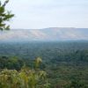 Kakamega Forest National Reserve