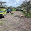 Recommendations for Overlanding in Kenya