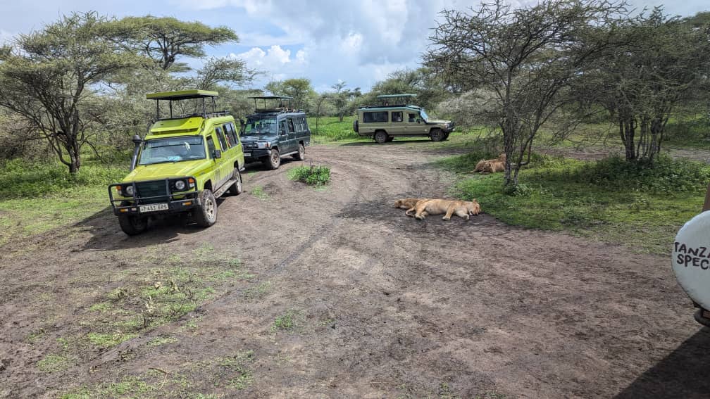 Recommendations for Overlanding in Kenya