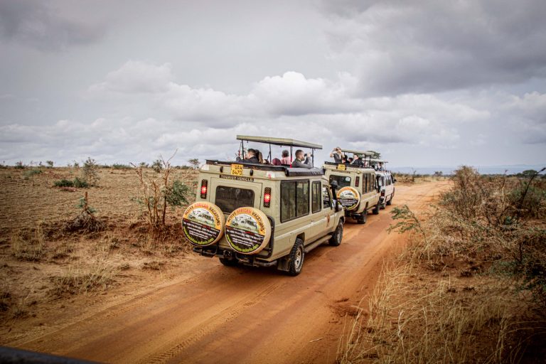 Serengeti self-Drive