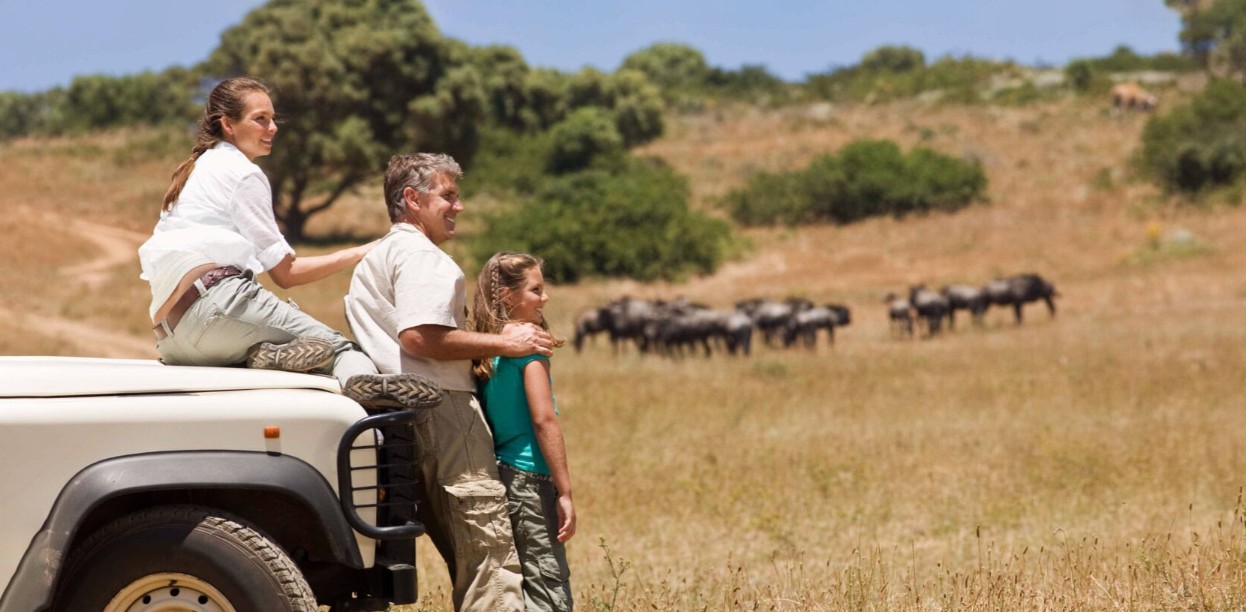 Tanzania Family Getaway Safari, 6-Day Serengeti & Ngorongoro
