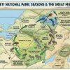 The Best Time to Visit Serengeti National Park