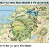 The Best Time to Visit Serengeti National Park
