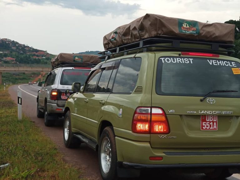 Land Cruiser v8 With Rooftop Tent