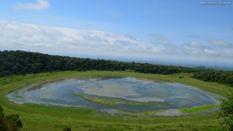 Extinct volcano craters called gofs by the local people make Marsabit National Park a spectacular destination