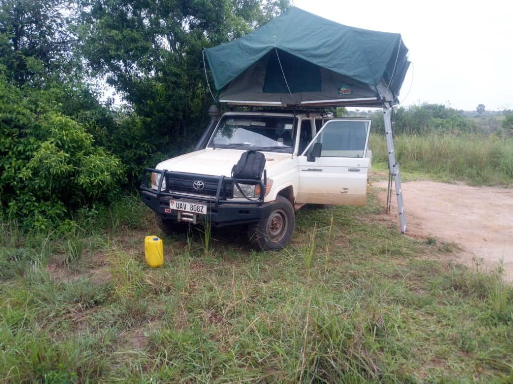 Land Cruiser LX With Rooftop Tent & Camping Equipment