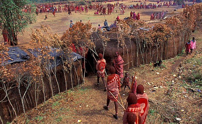 Maasai Village