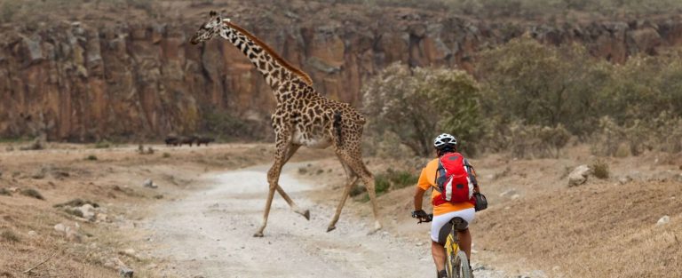 Riding Bikes at Hell's Gate