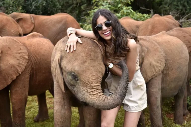 Sheldrick Elephant Orphanage