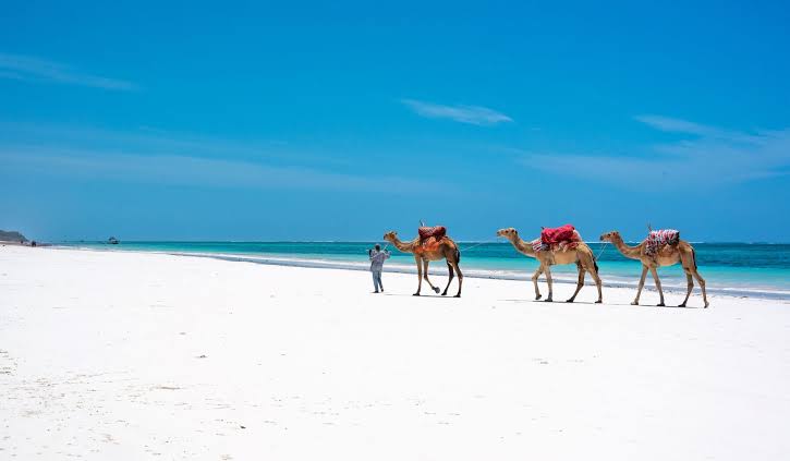 The Dani Beach in Kenya, a perfect place for relaxation