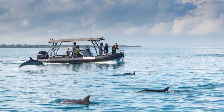Enjoy a boat cruise at Pemba Island
