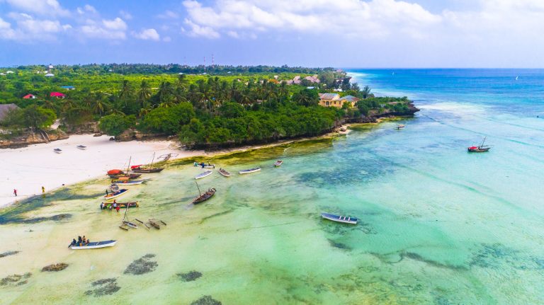 Kizimkazi in Zanziba, famous for its bottlenose and humpback dolphin spotting tours
