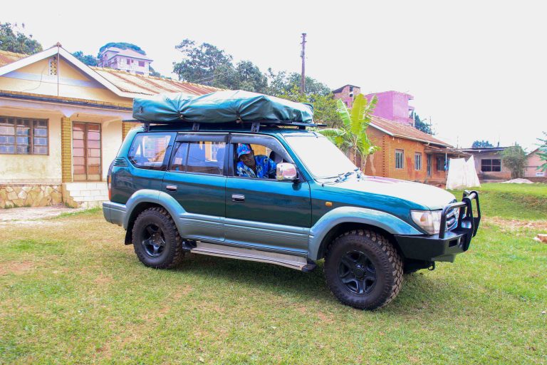Land Cruiser TX with Safari Guide