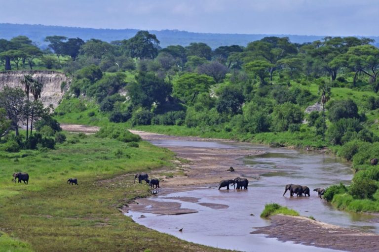 Tarangire National Park Tanzania
